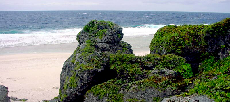 Atiu Beach & Forest