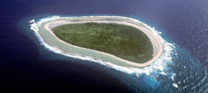 The island has been declared a wildlife sanctuary to protect seabirds