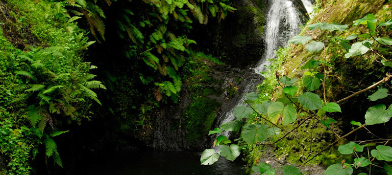 Electricity supplies on a number of the outer islands vary in availability and frequency