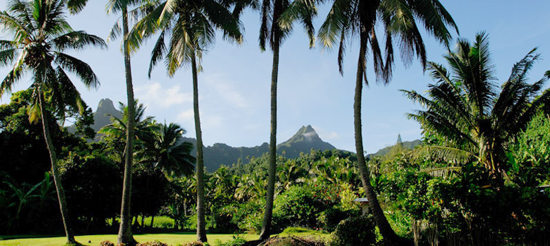 Cook Islanders live in harmony with their pristine environment
